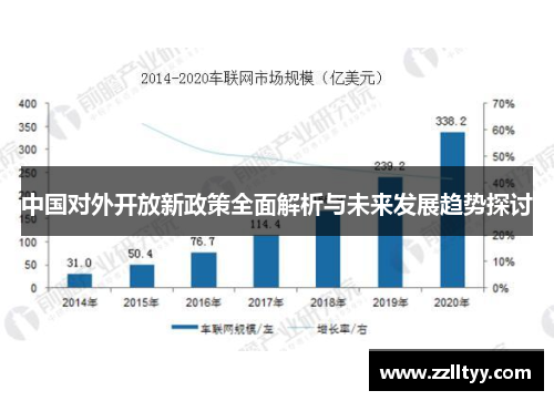 中国对外开放新政策全面解析与未来发展趋势探讨