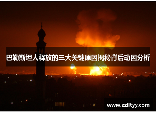 巴勒斯坦人释放的三大关键原因揭秘背后动因分析