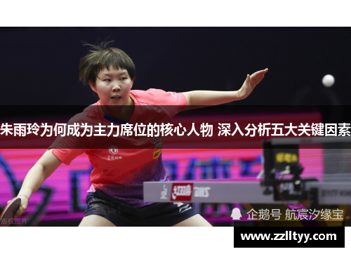 朱雨玲为何成为主力席位的核心人物 深入分析五大关键因素