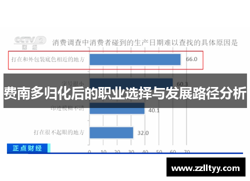 费南多归化后的职业选择与发展路径分析 费南多归化后的职业选择与发展路径分析